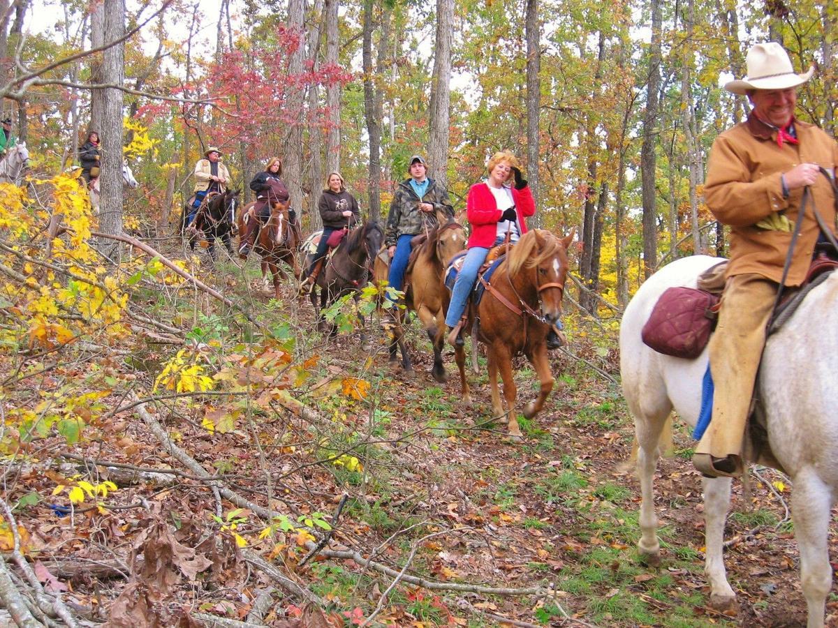 Pennyrile Forest State Resort Park Hawkins Extérieur photo
